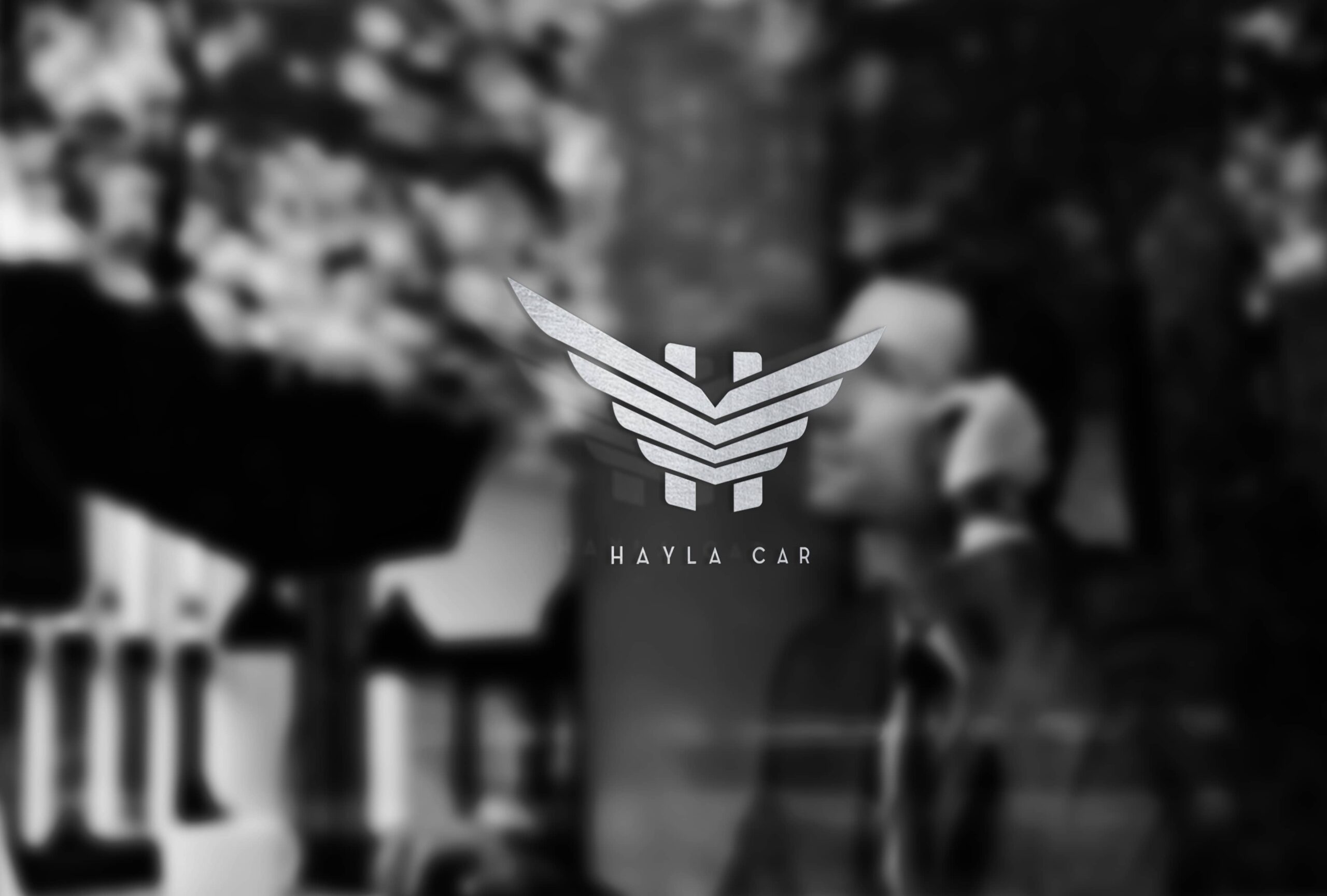 Hayla Car Logo Design